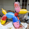 Pill Bull Terrier